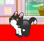 Administrando o Pet Shop