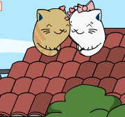 Amor dos Gatinhos
