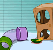 Casa de Hamster