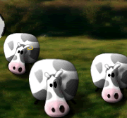 Explosoes das Vaquinhas