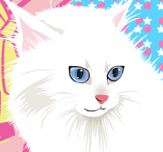 Gatinho Amoroso