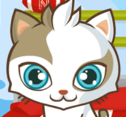 Gatinho Arrumadinho