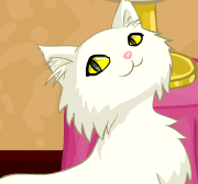 Gatinho Bonitinho