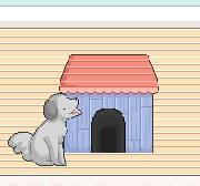 Hotel Para Animais