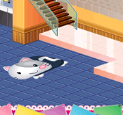 Minha Casa Nova
