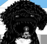 Obamas Dog Dress Up