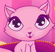 Polly Gatinha