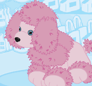Pooch Parlor