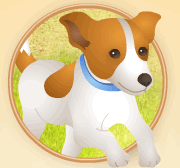 Pop Top Pups